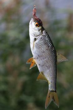 EA346957, Eastpress, Porvoo, Finland